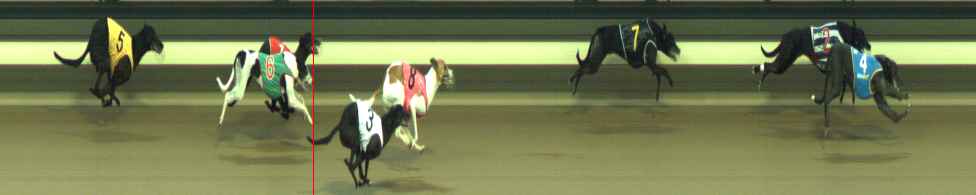 Photo finish for Warragul Race 11