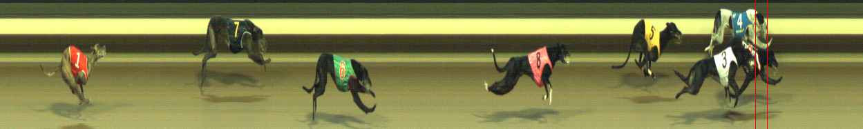 Photo finish for Warragul Race 12