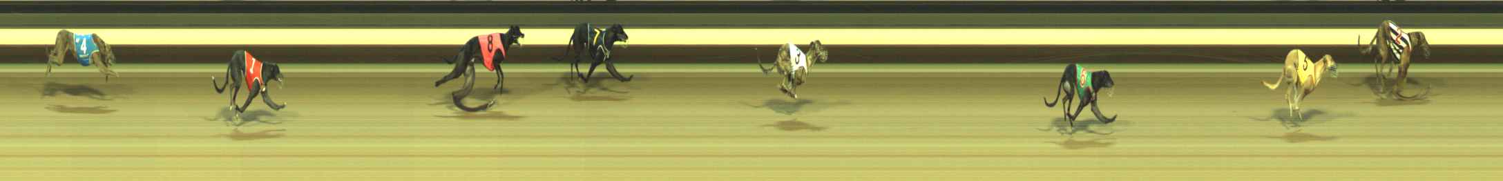 Photo finish for Warragul Race 1