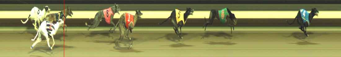 Photo finish for Warragul Race 4
