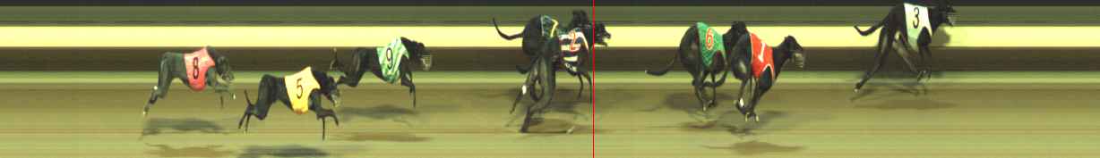Photo finish for Warragul Race 5