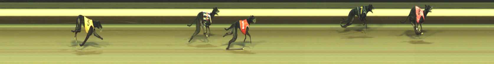 Photo finish for Warragul Race 6