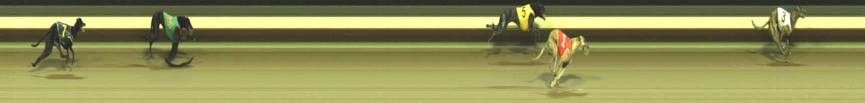 Photo finish for Warragul Race 7