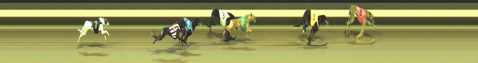 Photo finish for Warragul Race 8