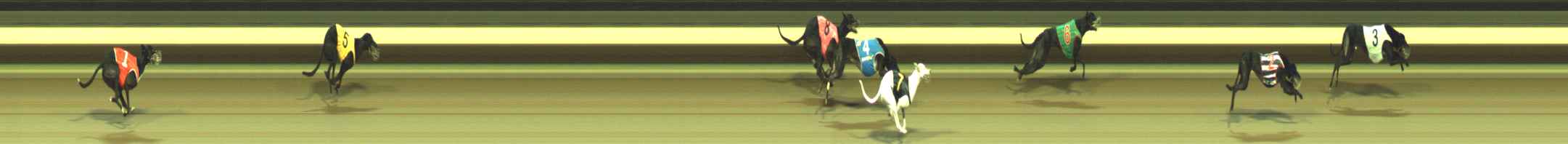 Photo finish for Warragul Race 9