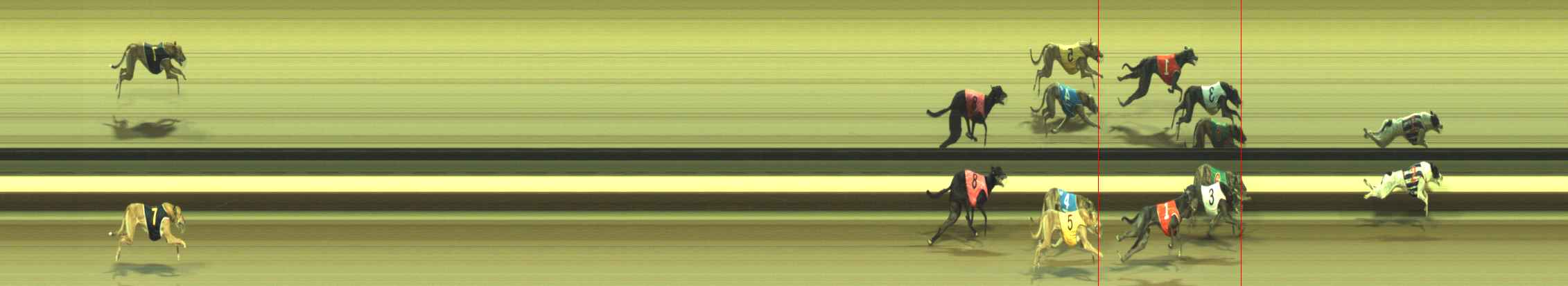 Photo finish for Warragul Race 11