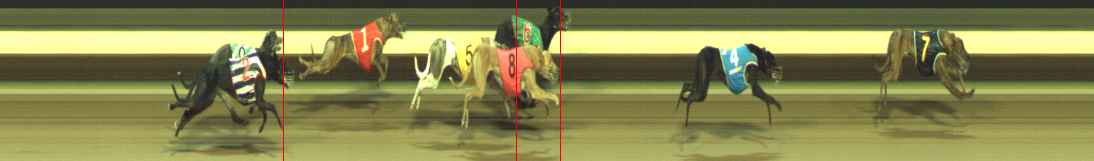Photo finish for Warragul Race 12