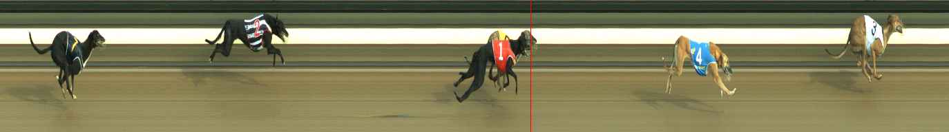 Photo finish for Warragul Race 1