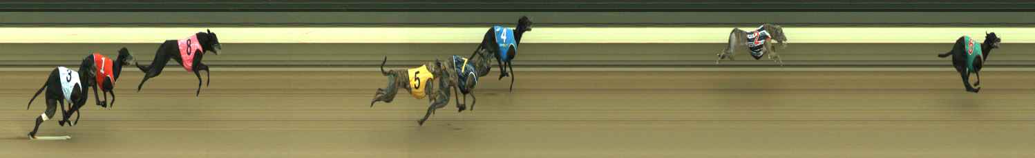Photo finish for Warragul Race 2