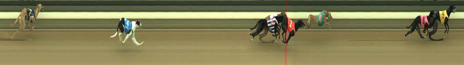 Photo finish for Warragul Race 3