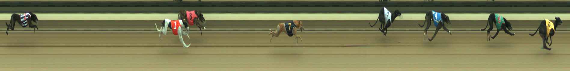 Photo finish for Warragul Race 4