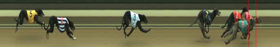 Photo finish for Warragul Race 5