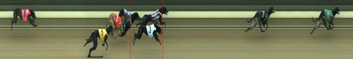 Photo finish for Warragul Race 6