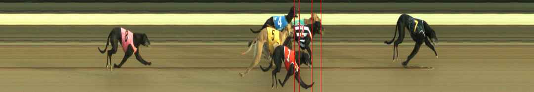 Photo finish for Warragul Race 7