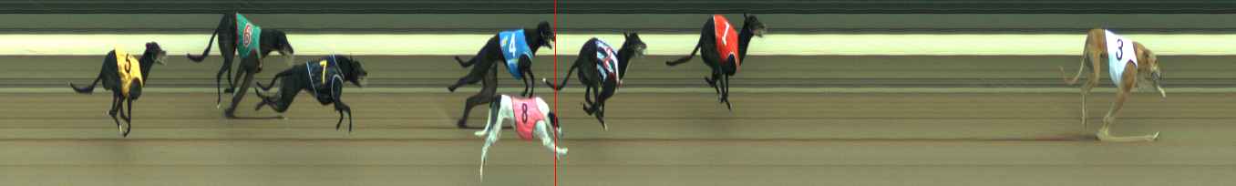 Photo finish for Warragul Race 8