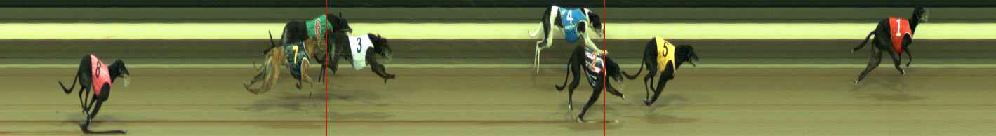 Photo finish for Warragul Race 9
