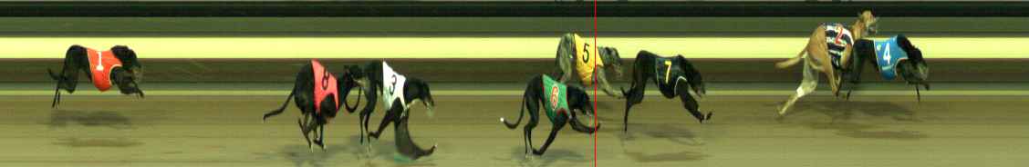 Photo finish for Warragul Race 10