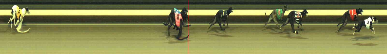 Photo finish for Warragul Race 11