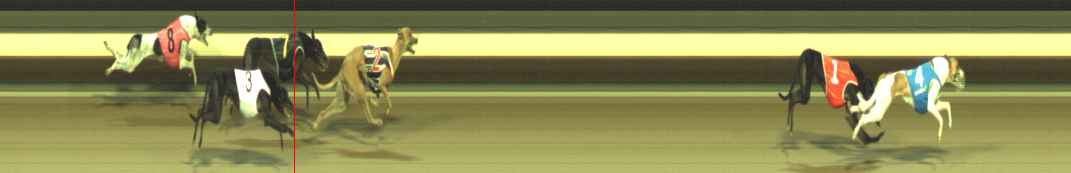 Photo finish for Warragul Race 12