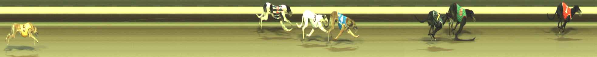 Photo finish for Warragul Race 3