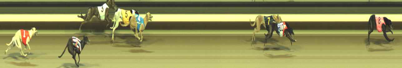 Photo finish for Warragul Race 4