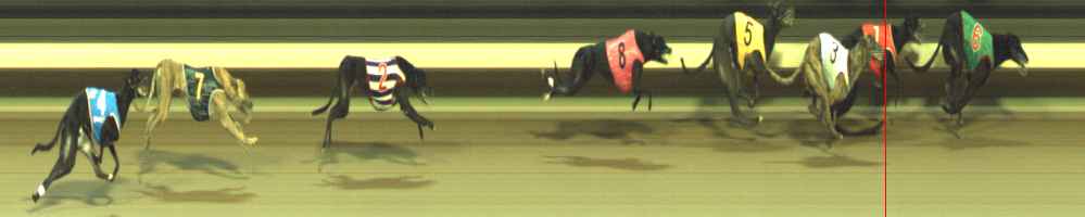 Photo finish for Warragul Race 6