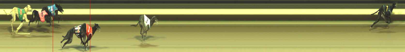 Photo finish for Warragul Race 7