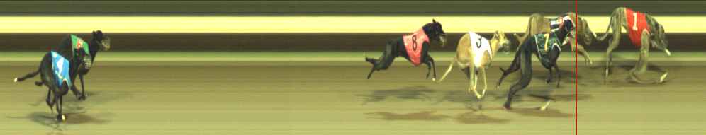 Photo finish for Warragul Race 8