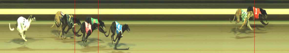 Photo finish for Warragul Race 9