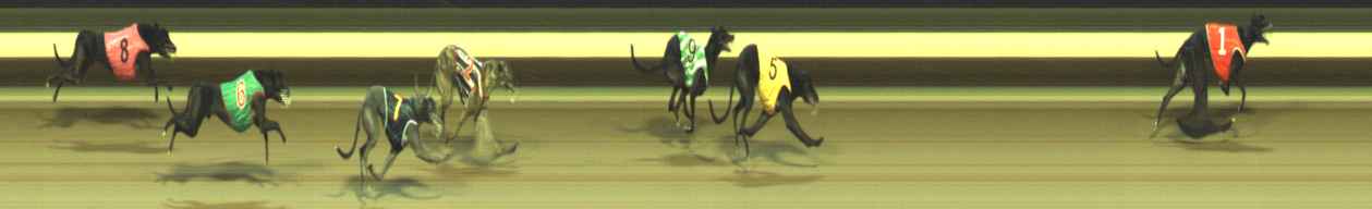 Photo finish for Warragul Race 10