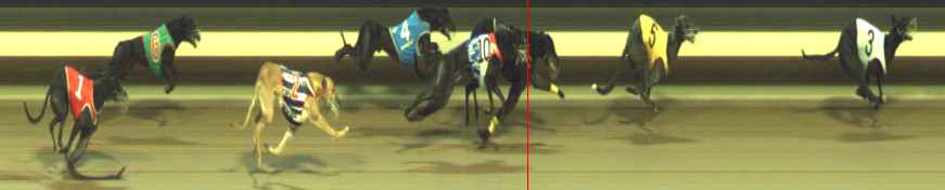 Photo finish for Warragul Race 12