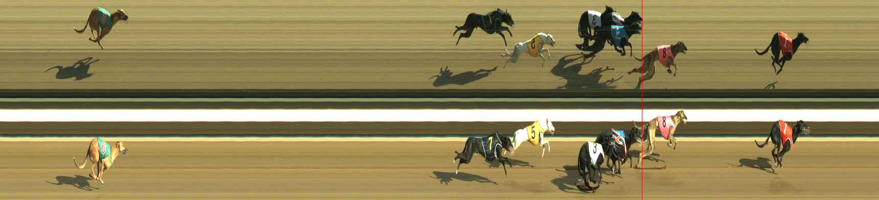 Race result finish photo