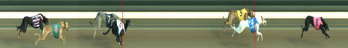 Photo finish for Warragul Race 2