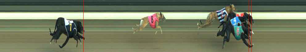 Photo finish for Warragul Race 3