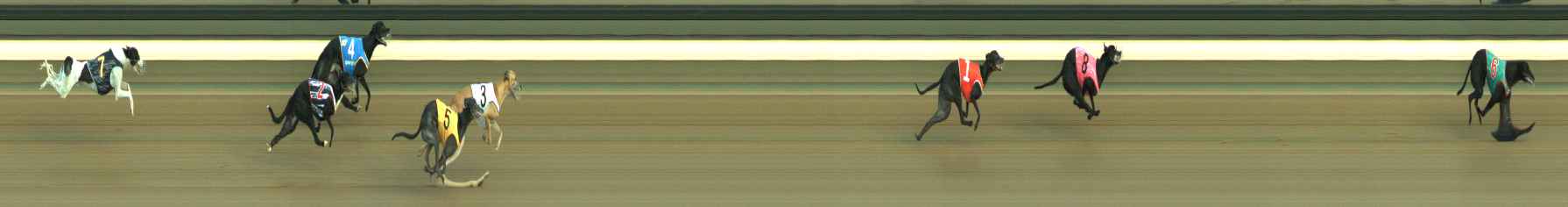 Photo finish for Warragul Race 4