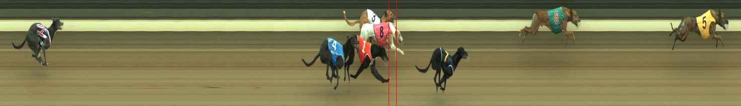 Photo finish for Warragul Race 5