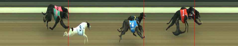 Photo finish for Warragul Race 7