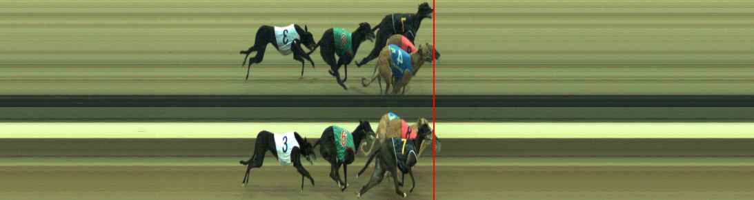 Photo finish for Warragul Race 8