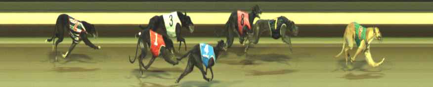 Photo finish for Warragul Race 11