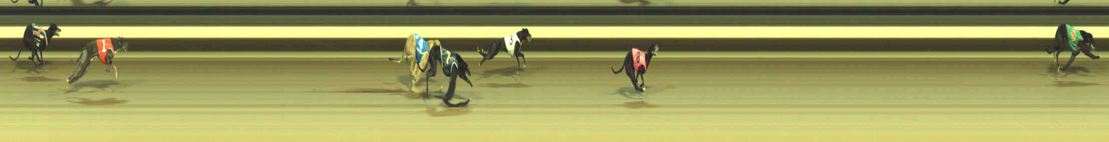 Photo finish for Warragul Race 12