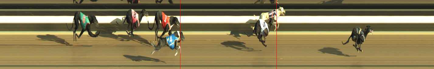 Photo finish for Warragul Race 2