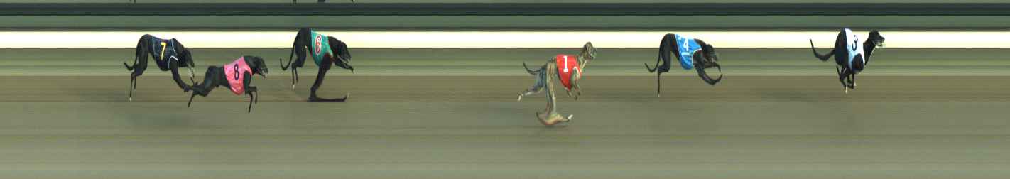 Photo finish for Warragul Race 3