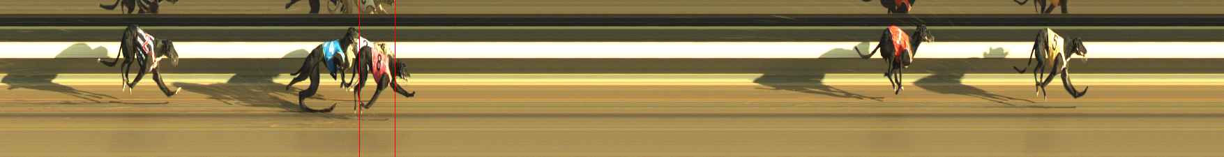 Photo finish for Warragul Race 4