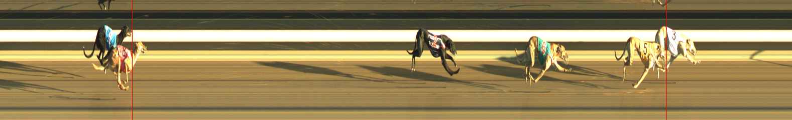 Photo finish for Warragul Race 5