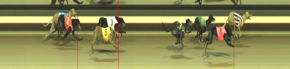 Photo finish for Warragul Race 8