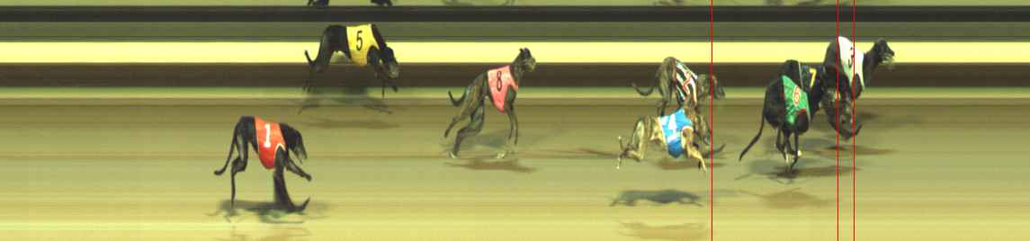 Photo finish for Warragul Race 11