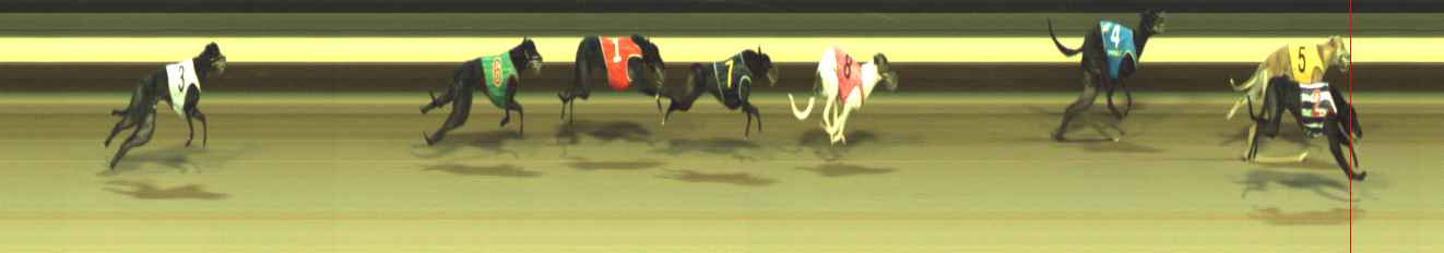 Race result finish photo