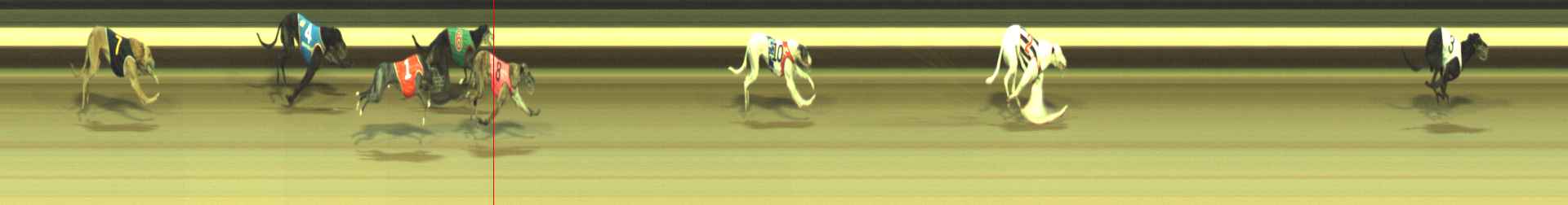 Photo finish for Warragul Race 9