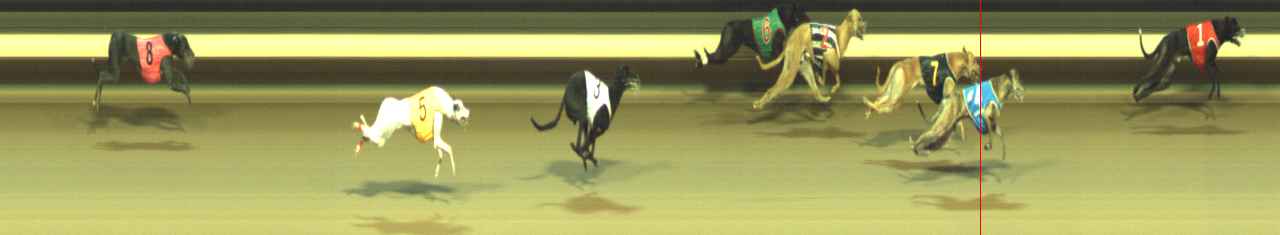 Photo finish for Warragul Race 10