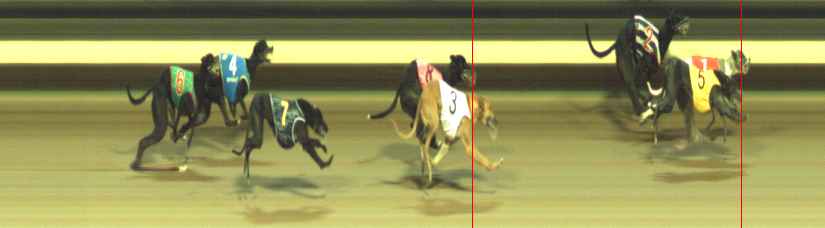Photo finish for Warragul Race 11